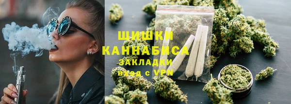 2c-b Белокуриха
