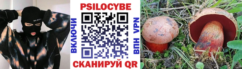 Купить где  Нытва  Псилоцибиновые грибы GOLDEN TEACHER 